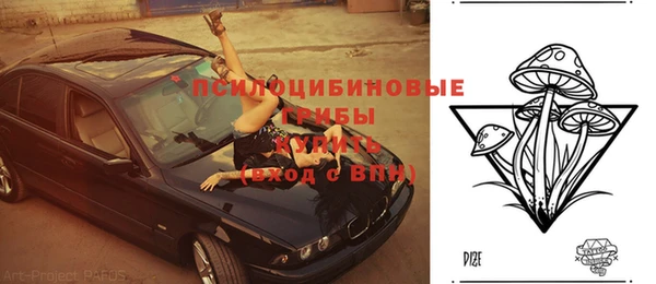 мдпв Алзамай
