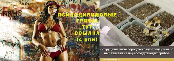 МДПВ Алексеевка