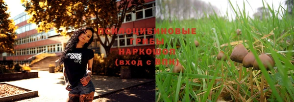PSILOCYBIN Алексин