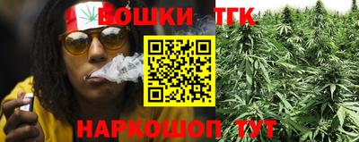 a pvp Камышлов