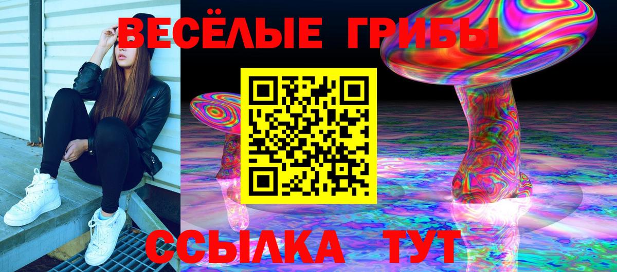Псилоцибиновые грибы Cubensis Ленинск-Кузнецкий