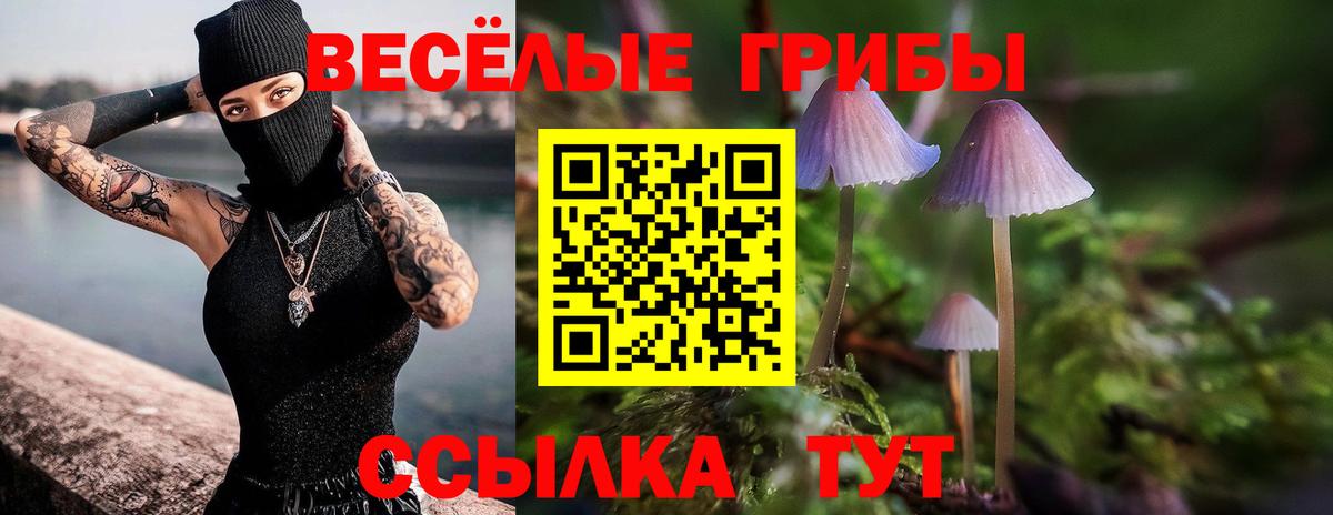 Ленинск-Кузнецкий  Псилоцибиновые грибы ЛСД  Вход с VPN 